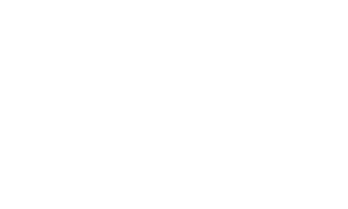 German Gun Stock