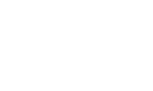 DDoptics